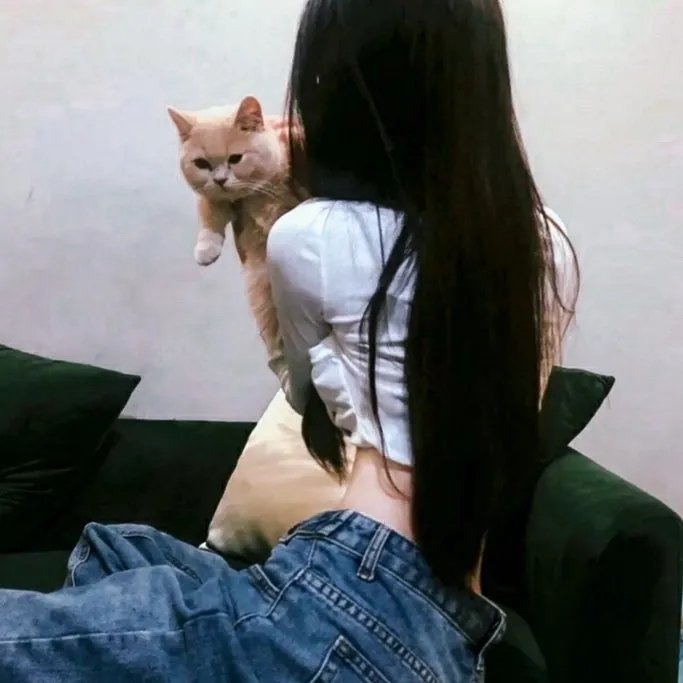 通往光明的阶梯